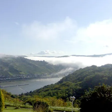 Schau-Rhein#1 - On Top Of Bacharach, Rhineview Esterno foto
