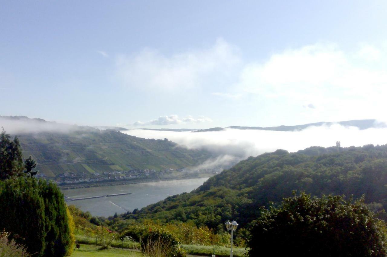 Schau-rhein#1 - On Of Bacharach, Rhineview Appartamento