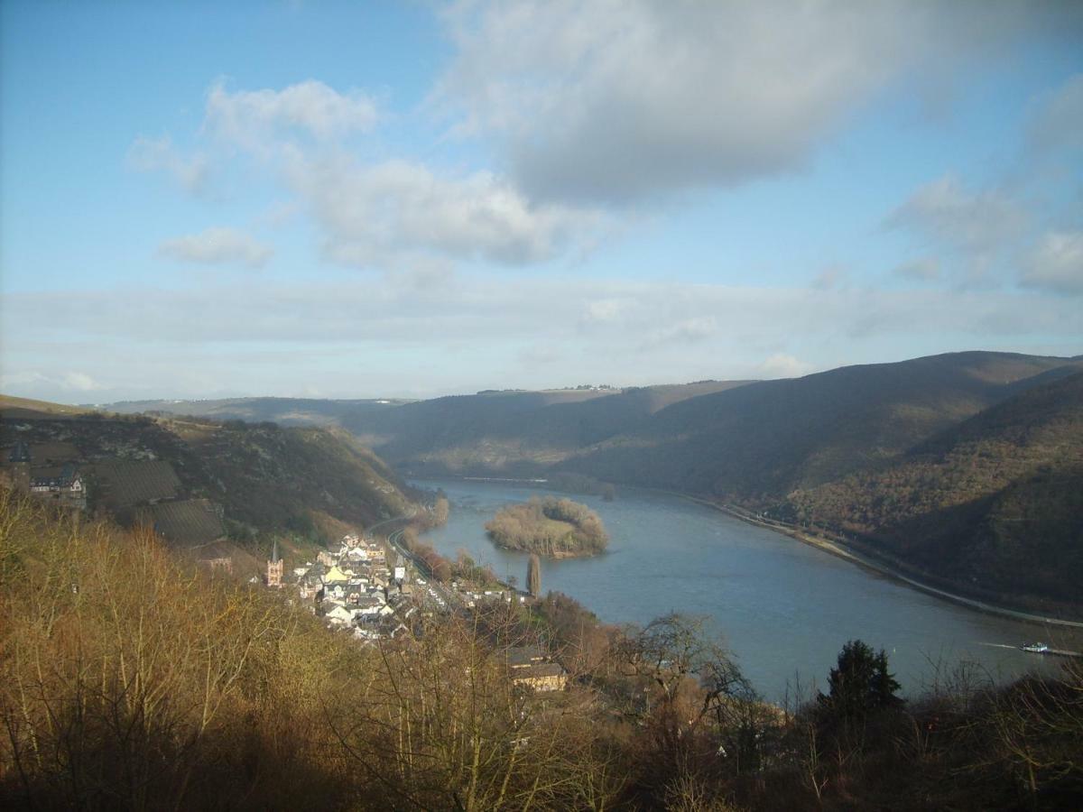 Apartment Schau-rhein#1 - On Of Bacharach, Rhineview *