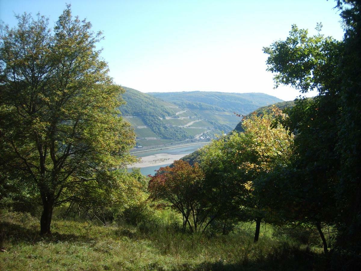 Schau-rhein#1 - On Of Bacharach, Rhineview * Bacharach